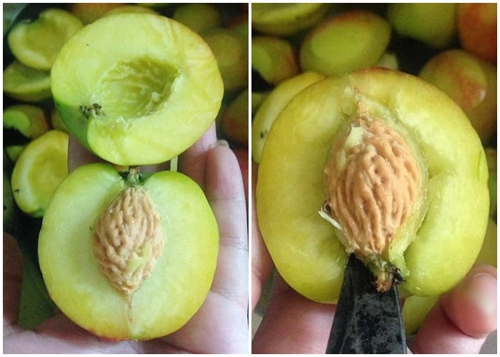 Cách làm đào ngâm giòn ngon không bị màng hỏng để pha trà mùa hè cực đã - 3