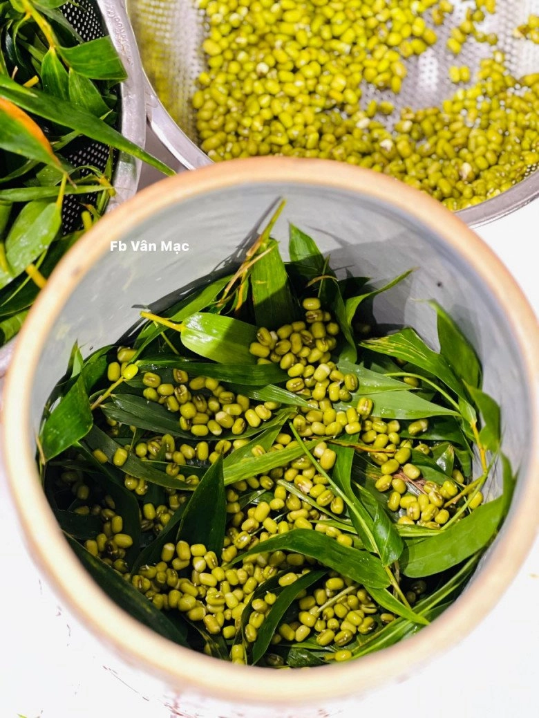 Cách làm giá đỗ cực đơn giản bằng dụng cụ không ngờ đến của mẹ đảm cây nào cũng mập ú trắng ngần 2-3 ngày là ăn được - 3