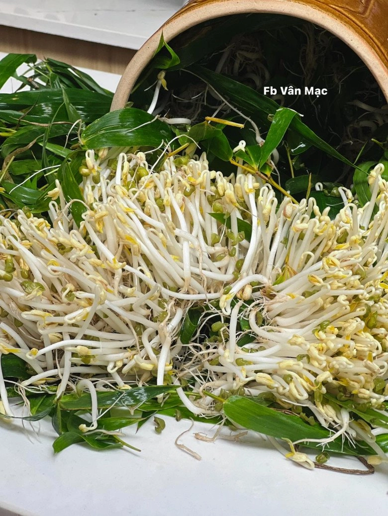 Cách làm giá đỗ cực đơn giản bằng dụng cụ không ngờ đến của mẹ đảm cây nào cũng mập ú trắng ngần 2-3 ngày là ăn được - 7