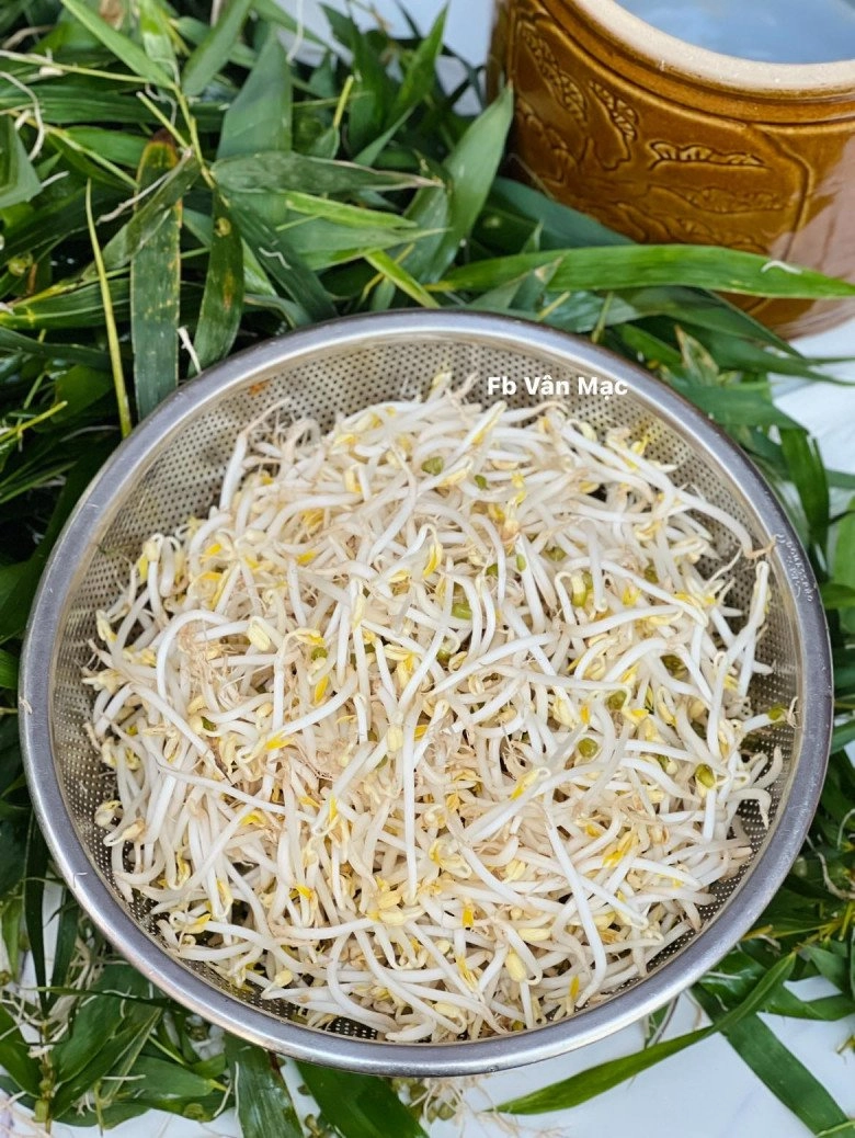 Cách làm giá đỗ cực đơn giản bằng dụng cụ không ngờ đến của mẹ đảm cây nào cũng mập ú trắng ngần 2-3 ngày là ăn được - 9