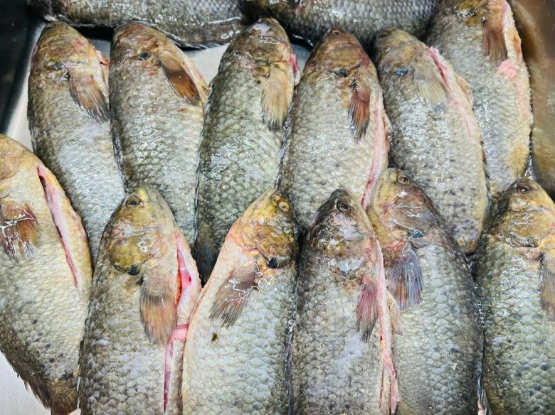Cách nấu bánh canh cá chuẩn vị thái bình vừa ngon lại chất lượng nhìn là muốn ăn ngay - 2