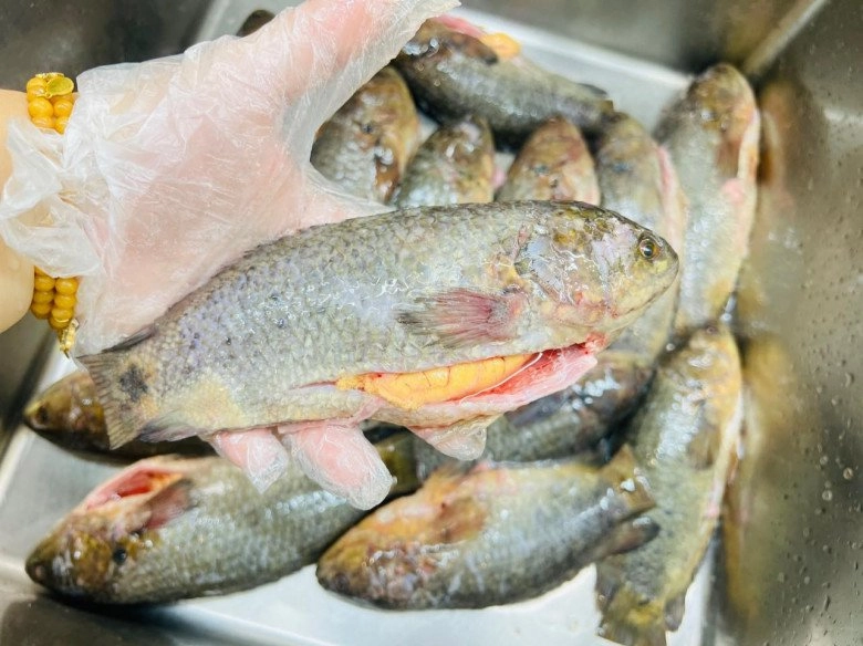 Cách nấu bánh canh cá chuẩn vị thái bình vừa ngon lại chất lượng nhìn là muốn ăn ngay - 3