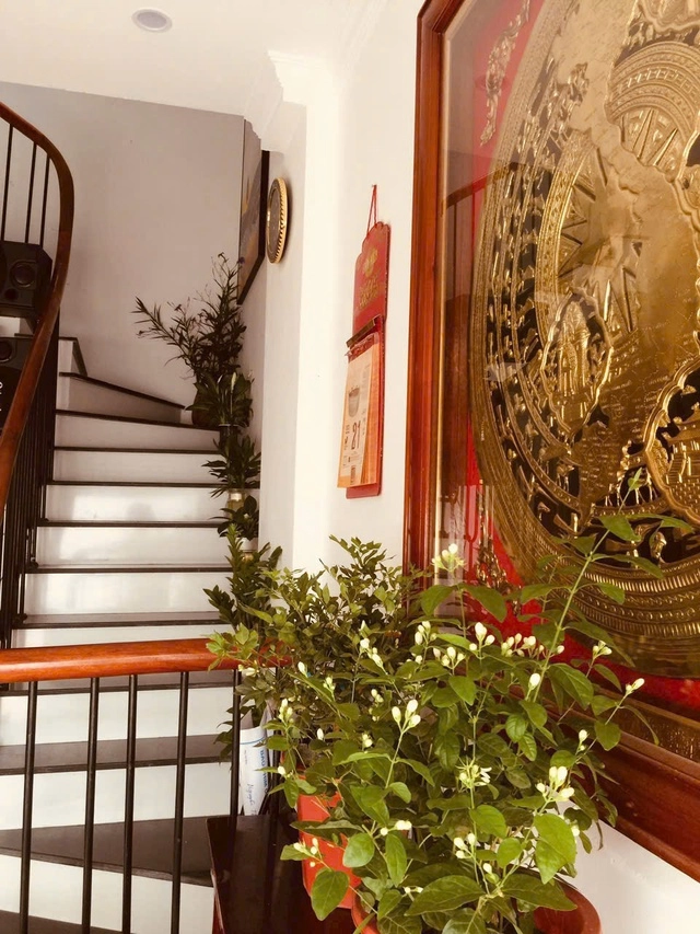Cây cảnh đặt ở bậc cầu thang cho các mệnh kim mộc thủy hỏa thổ - 2
