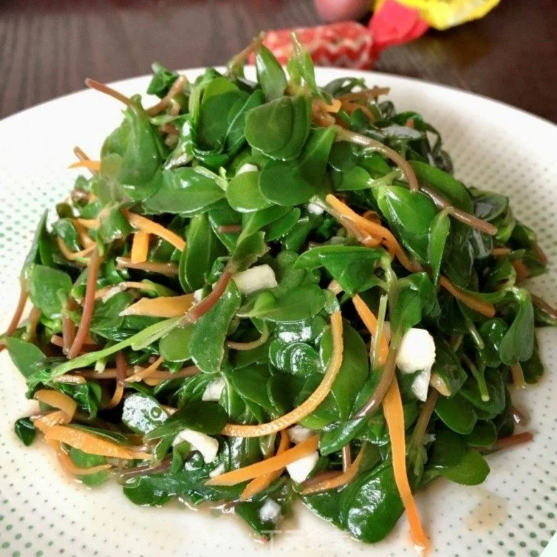 Cây dại vứt xuống đất là mọc tua tủa có vị chua chua đem nấu canh hoặc xào vừa ngon lại bổ - 3