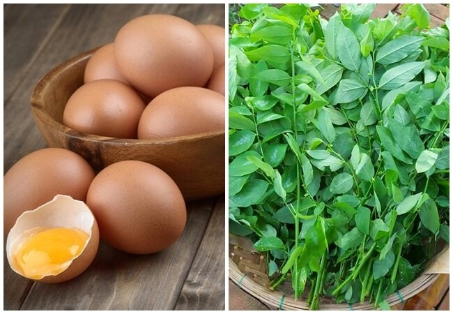 Cây này chỉ ăn lá vitamin c gấp 45 lần rau thường nấu canh hay luộc đều rất mát được ưa chuộng vào mùa hè - 2