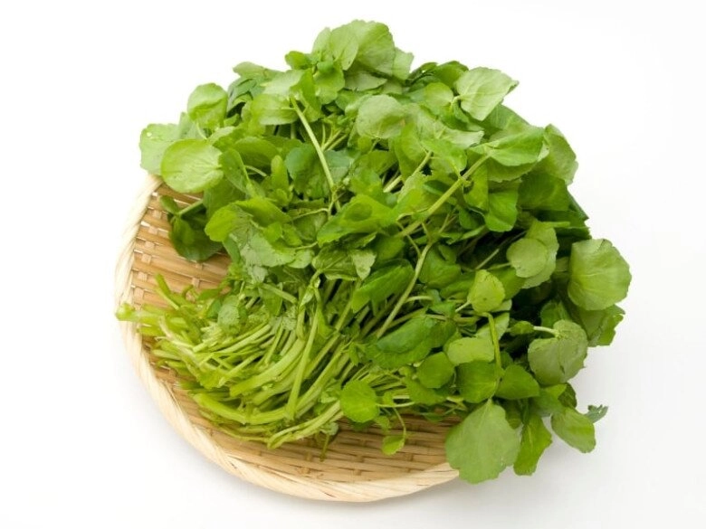 Cây này ở việt nam không chăm cũng lớn được mỹ đánh giá là rau tốt nhất thế giới đem xào tỏi hay nhúng lẩu ngon mê - 2