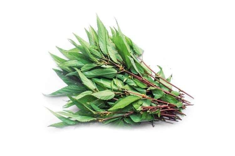 Cây rẻ tiền nấu lên nhớt nhớt nhưng bổ ngang nhân sâm tiếc là ít người biết ăn nó - 1