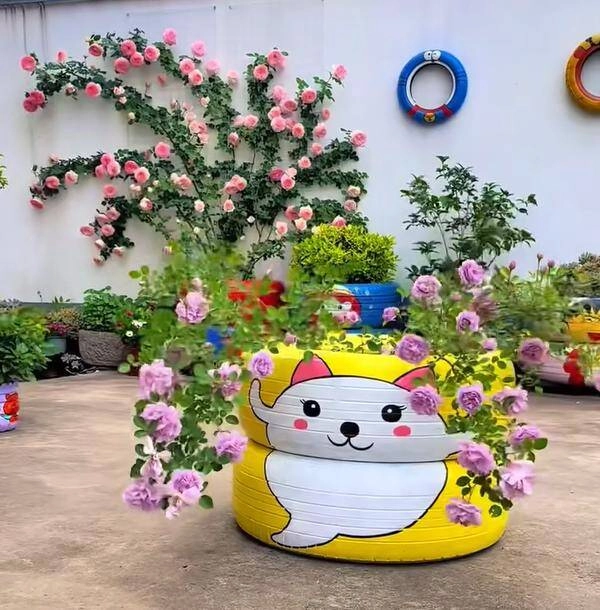 Chàng trai 10x trồng hoa hồng trong lốp xe vừa dễ thương vừa đẹp rực rỡ ai nhìn cũng mê - 3