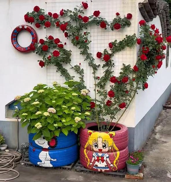 Chàng trai 10x trồng hoa hồng trong lốp xe vừa dễ thương vừa đẹp rực rỡ ai nhìn cũng mê - 5