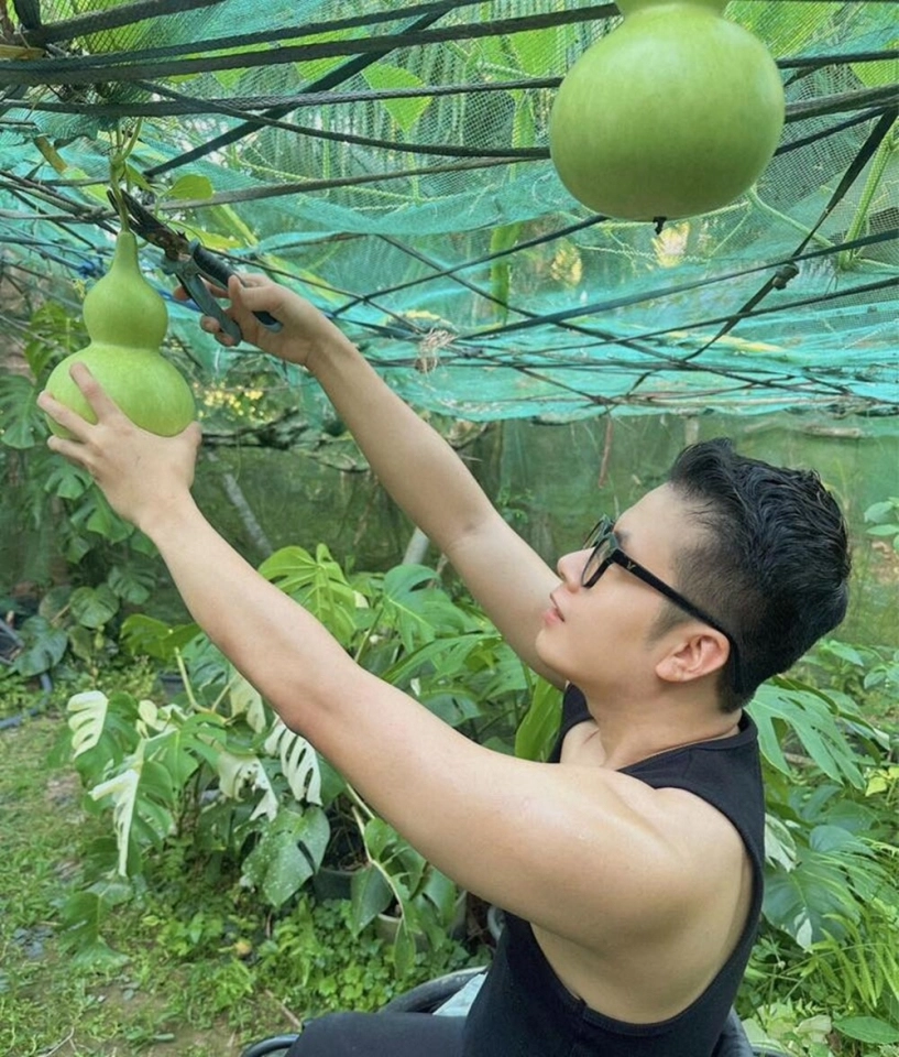 Chàng trai 9x ngồi xe lăn làm vườn rau xanh giăng khắp lối quả treo lúc lỉu trên giàn thật đã mắt - 4