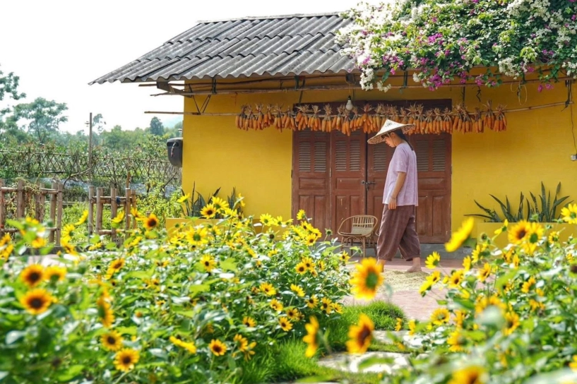 Cô gái 9x yên bái bỏ phố về quê dành 4 năm làm nhà vườn đẹp như tranh - 4
