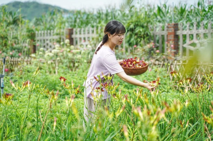 Cô gái 9x yên bái bỏ phố về quê dành 4 năm làm nhà vườn đẹp như tranh - 9