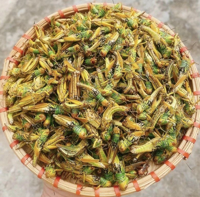 Con này xưa vứt cho gà ăn giờ là đặc sản có giá vài trăm nghìn 1kg đem rang được món nhậu giòn ngon thơm nức - 1
