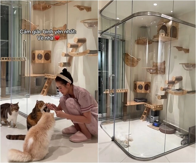 Điểm giống nhau giữa nhà của trấn thành - anh đức liên quan đến sở thích của 2 cô vợ xinh đẹp - 1