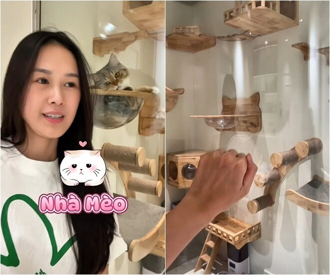 Điểm giống nhau giữa nhà của trấn thành - anh đức liên quan đến sở thích của 2 cô vợ xinh đẹp - 2