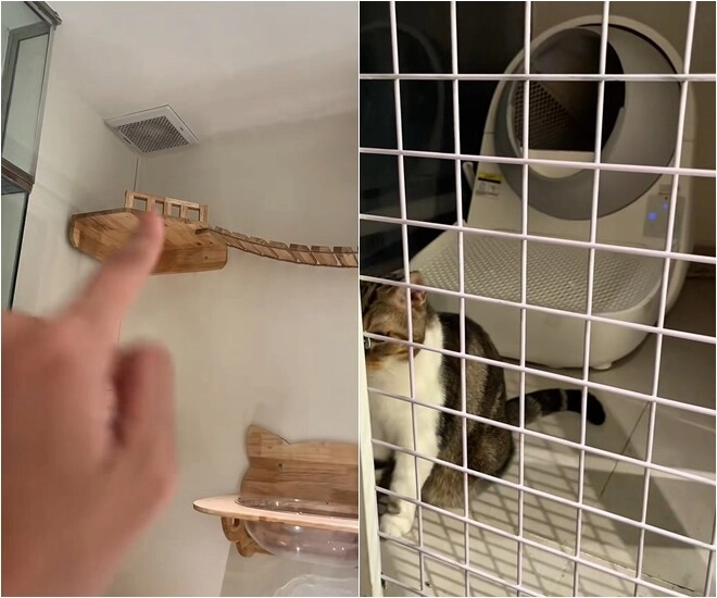 Điểm giống nhau giữa nhà của trấn thành - anh đức liên quan đến sở thích của 2 cô vợ xinh đẹp - 4