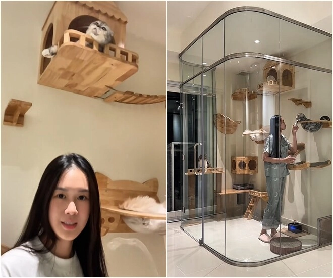 Điểm giống nhau giữa nhà của trấn thành - anh đức liên quan đến sở thích của 2 cô vợ xinh đẹp - 6
