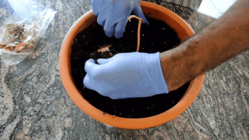 Điều đặc biệt ở góc bình dân trong dinh thự bạc tỷ của nhà tăng thanh hà - 14