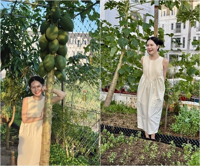 Đoàn di băng khoe vườn rau đầu hè xanh mơn mởn bầu đóng từng thùng ai đi ngang nhìn cũng thích - 2