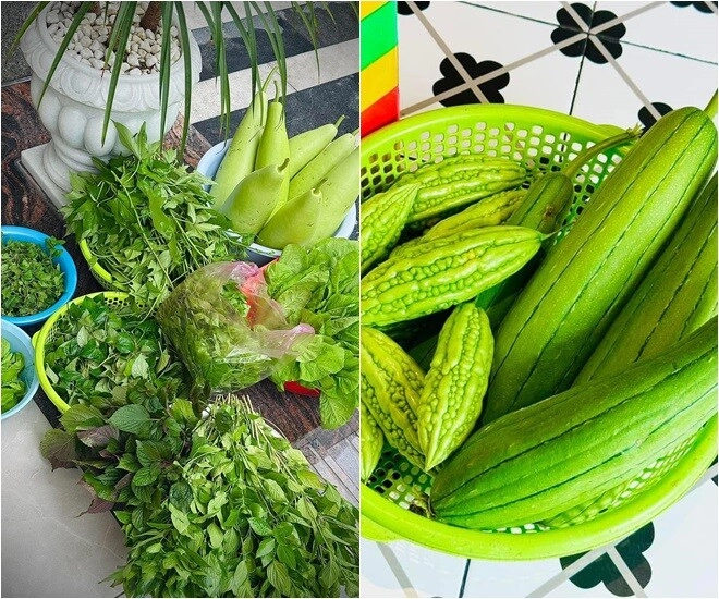 Đoàn di băng khoe vườn rau đầu hè xanh mơn mởn bầu đóng từng thùng ai đi ngang nhìn cũng thích - 18