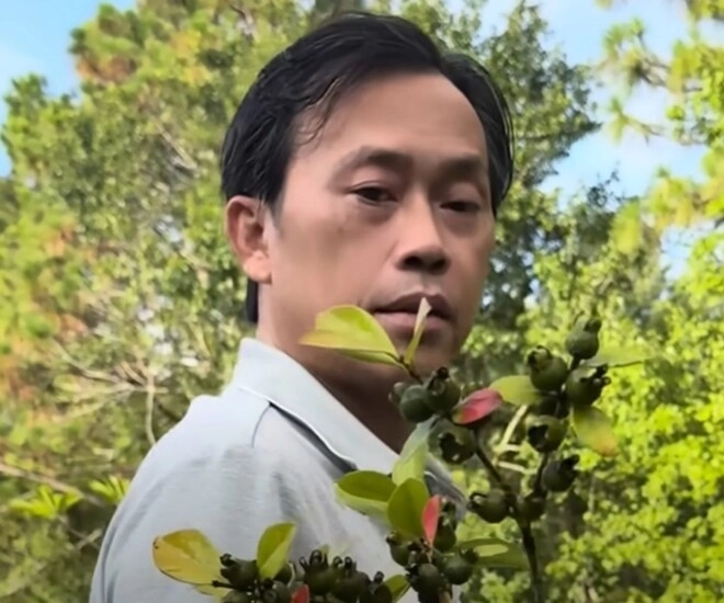 Em trai ruột hé lộ khu vườn rộng nhà hoài linh bên mỹ có cây ổi lạ và nhiều cây trái việt nam - 1