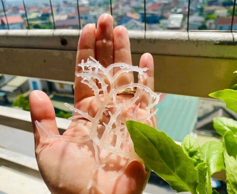 Giải nhiệt ngày hè với nộm tai sụn rong biển giòn ngon thanh mát ăn vào là mê - 4