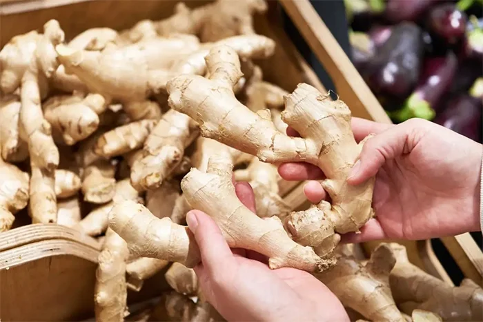 Gừng mua về dễ héo úa mọc mầm làm cách này nửa năm sau lấy ra vẫn tươi ngon như mới nhổ - 3