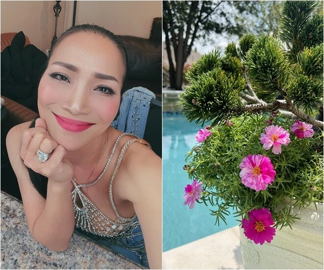 Hồng ngọc mắt nai cha cha cha khoe hàng loạt cây trong biệt thự triệu đô nhưng nhìn ảnh cuối ai cũng thót tim - 1