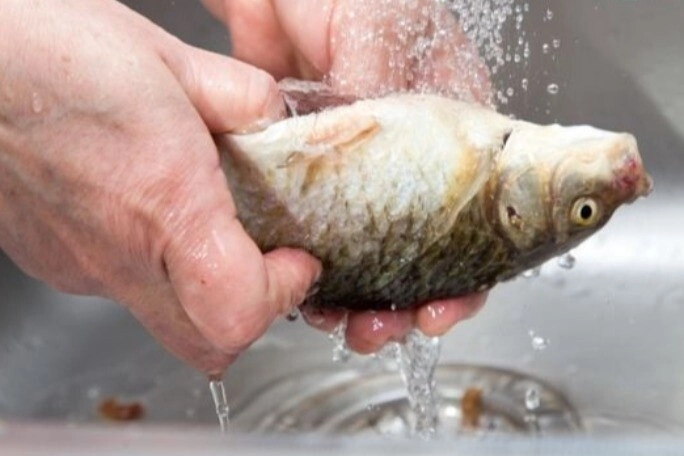 Khử mùi tanh cá đầu bếp nói phải rút bỏ sợi này nhiều năm nấu ăn mà tôi không hay biết - 1