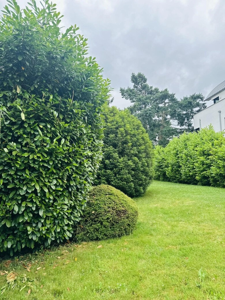 Khu vườn 1000m2 đẹp như cổ tích của ca sĩ mỹ lệ ở nước ngoài ai lạc vào cũng sẽ thành công chúa - 8