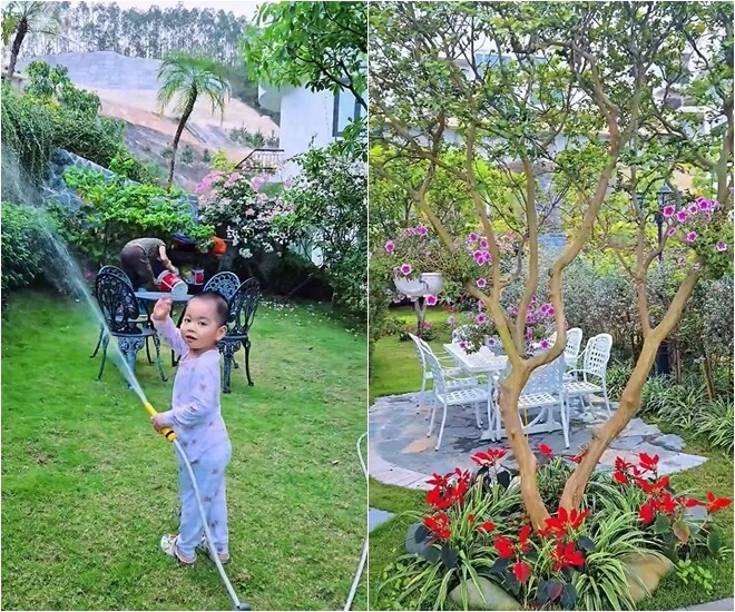 Khu vườn mùa hè ở biệt thự trên núi của vợ chồng diễn viên mạnh trường hoa giăng lối cây trĩu quả - 1