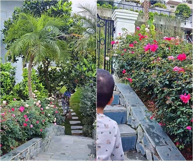 Khu vườn mùa hè ở biệt thự trên núi của vợ chồng diễn viên mạnh trường hoa giăng lối cây trĩu quả - 3