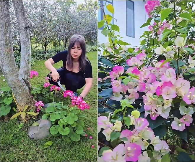 Khu vườn mùa hè ở biệt thự trên núi của vợ chồng diễn viên mạnh trường hoa giăng lối cây trĩu quả - 5