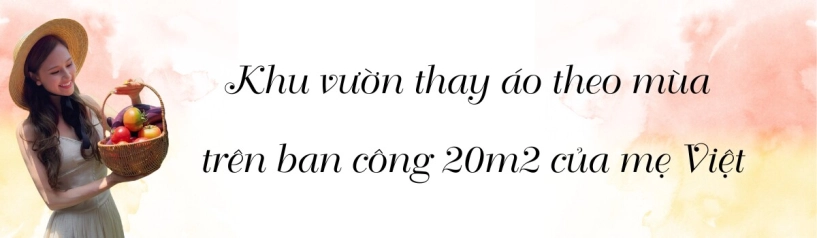 Khu vườn trên ban công 20m của mẹ việt ở thượng hải xuân hoa nở rực rỡ hè rau xanh mơn mởn - 1
