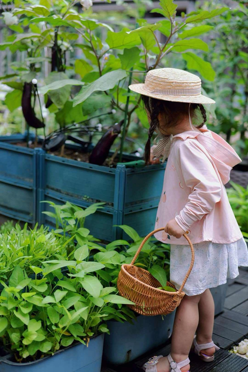 Khu vườn trên ban công 20m của mẹ việt ở thượng hải xuân hoa nở rực rỡ hè rau xanh mơn mởn - 13