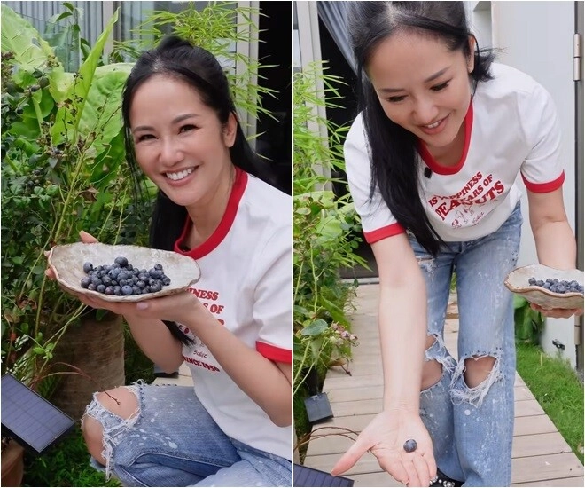 Khu vườn trên cao ở penthouse mới giúp hồng nhung chữa lành sau biến cố diva khoái chí thu hoạch ngọc xanh - 5