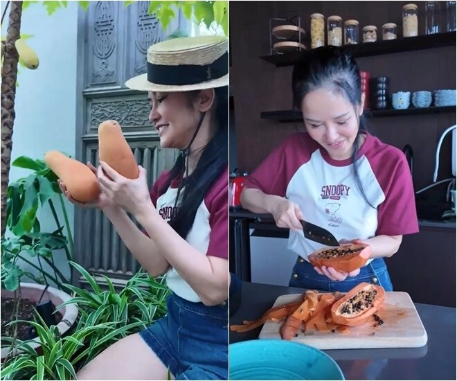 Khu vườn trên cao ở penthouse mới giúp hồng nhung chữa lành sau biến cố diva khoái chí thu hoạch ngọc xanh - 8