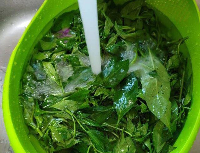Lá này canxi gấp 2 lần sữa giúp bảo vệ dây thần kinh có lợi cho mắt nhưng ít người biết ăn đem nấu canh mùa hè cực đắt khách - 3