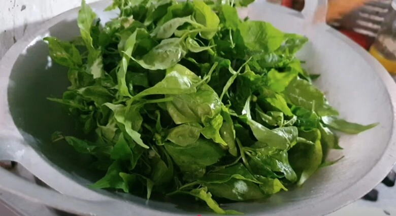 Lá này là ngân hàng canxi bổ mắt dưỡng gan mà nhiều người chỉ lấy quả bỏ lá - 4