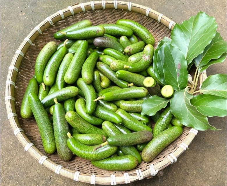 Loại bơ bé tí như ngón tay lại không có hạt ai thấy cũng tò mò làm được đủ món ngon - 3