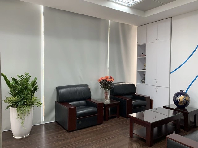 Loại cây xanh mang ý nghĩa hạnh phúc - bình an dễ trồng dễ chăm sóc - 3