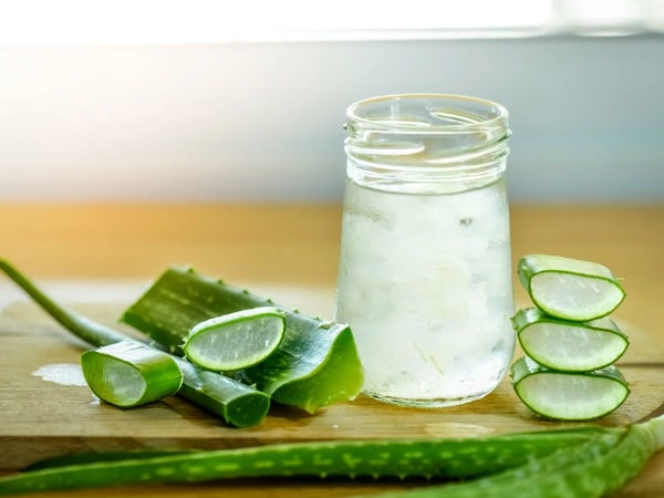 Loại lá nhơn nhớt được trồng như cây cảnh trong nhà khi làm cách này sẽ giúp chống rụng tóc kích thích mọc tóc và ổn định đường huyết - 3