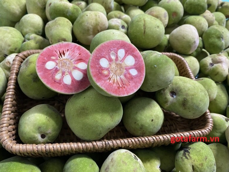 Loại quả xưa chín rụng đầy không ai ngó ngàng nay thành đặc sản dân thành phố thích mê vì vị lạ đem kho cá siêu ngon - 1