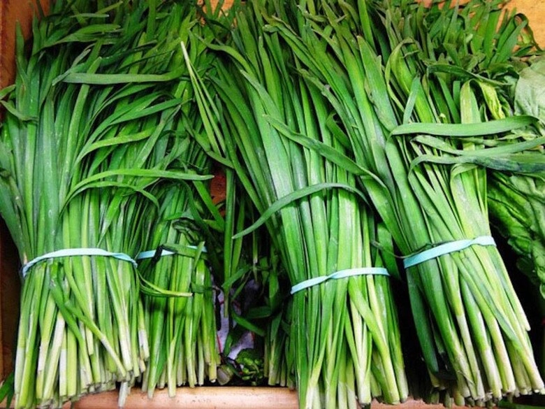 Loại rau bị nhầm là cỏ dại được ví như vua bổ thận giá 30000 đồngkg trồng một chậu ở ban công ăn cả đời - 3