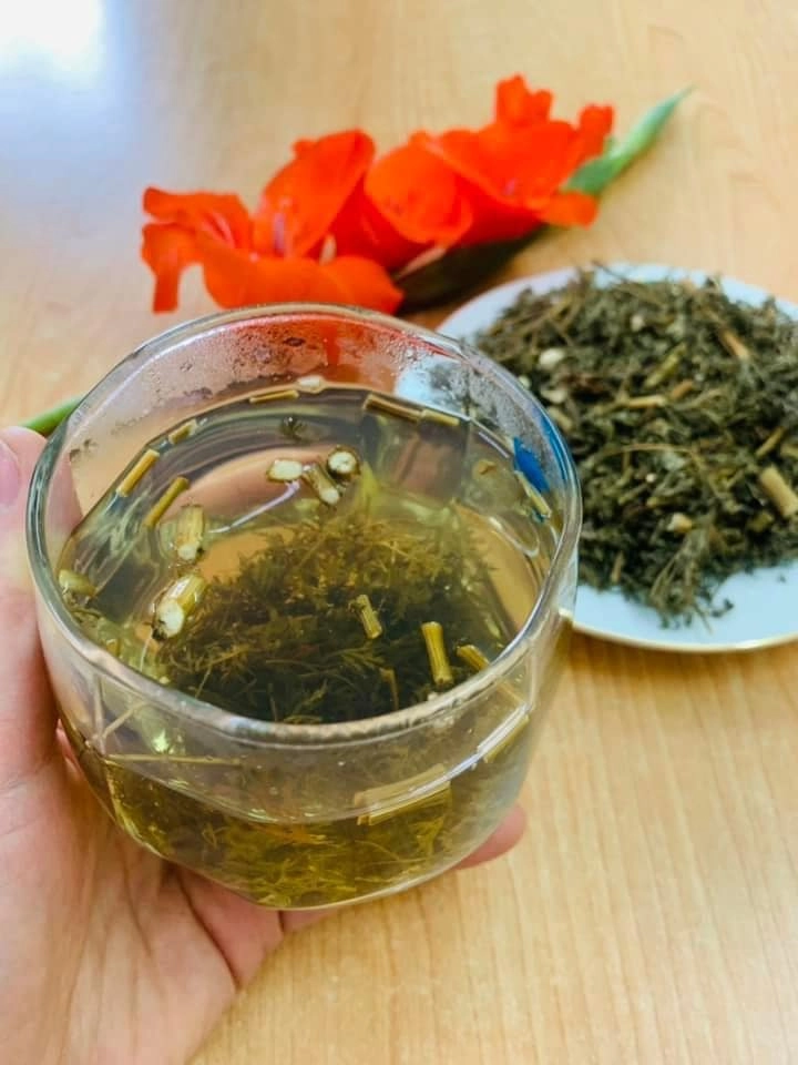 Loại rau dại lên đời thành đặc sản được săn lùng vào dịp hè và dịp tết trồng 3 tháng là ăn được - 4