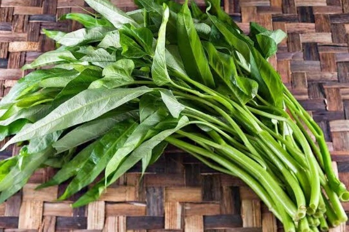 Loại rau tốt nhất thế giới trồng 1 lần ăn mấy chục năm canxi giàu gấp đôi sữa bò giúp trẻ cao lớn - 2