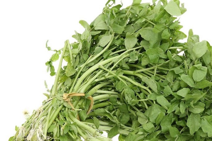 Loại rau tốt nhất thế giới trồng 1 lần ăn mấy chục năm canxi giàu gấp đôi sữa bò giúp trẻ cao lớn - 3