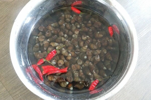 Luộc ốc người cho nước người cho thêm mẻ còn đây là cách làm của người bán ốc khiến con nào cũng ngon ngọt sạch giòn - 1