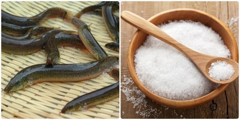 Lươn cá da trơn càng rửa với nước càng nhớt dùng ngay thứ này vài phút nhớt bong ra ngoài tha hồ chế biến - 1