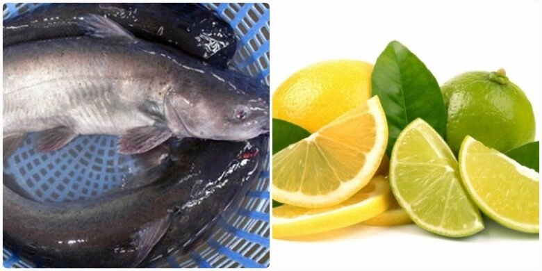 Lươn cá da trơn càng rửa với nước càng nhớt dùng ngay thứ này vài phút nhớt bong ra ngoài tha hồ chế biến - 2